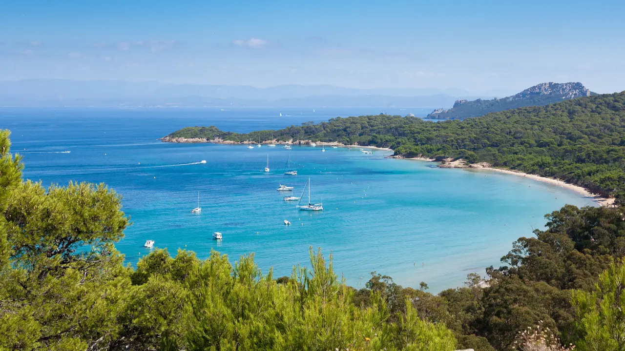 Baie aux eaux turquoise et pinède de l'île de Porquerolles, à Hyères-les-Palmiers